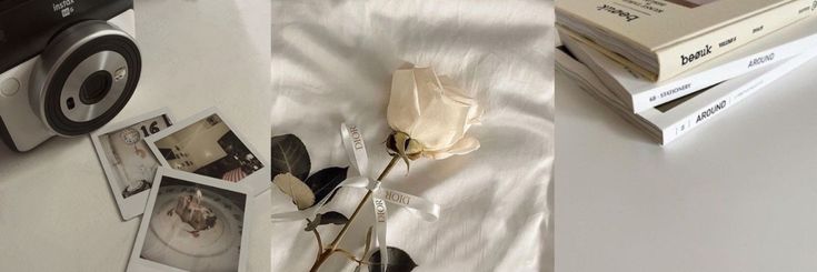 Creators Banner